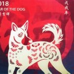 Marketing Piece TurboDog