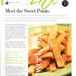McCain newsletter 1